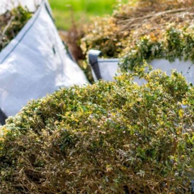 Shutterstock_1725581998-1-1-1-768x690