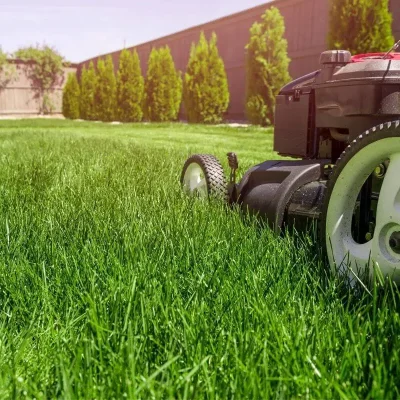 lawn-service-equipment